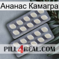 Ананас Камагра 07